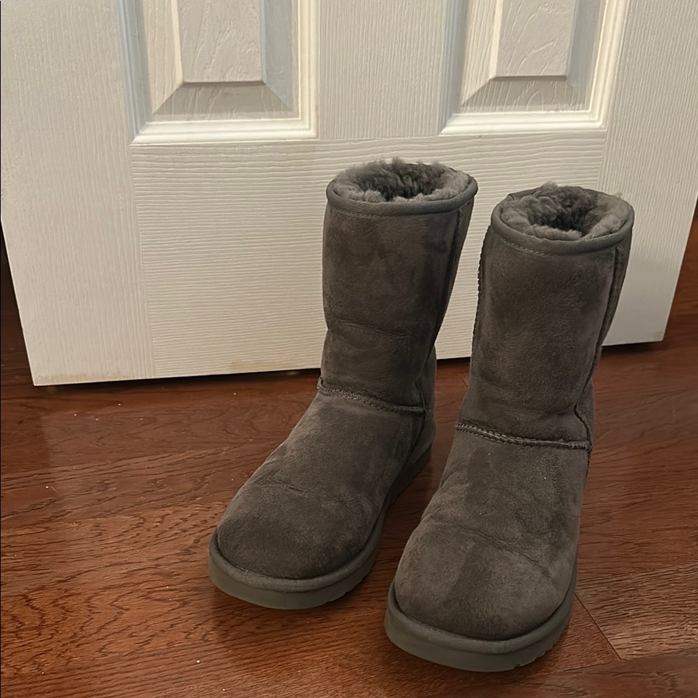 Short gray Ugg boots